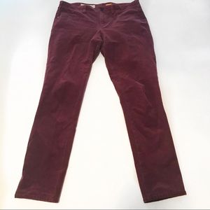 Anthropologie Pilcro Serif Corduroy Pant 29